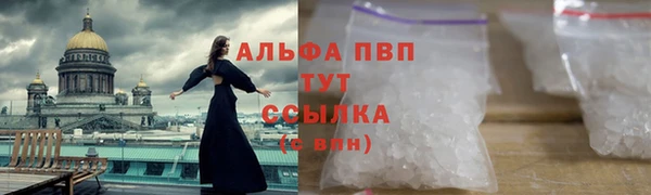 стафф Волоколамск