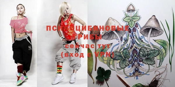 стафф Волоколамск
