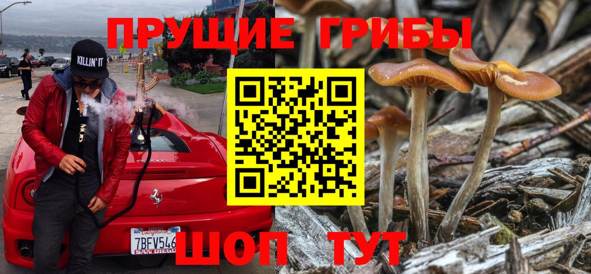 Псилоцибиновые грибы GOLDEN TEACHER  Псилоцибиновые грибы GOLDEN TEACHER  Вход с VPN  дарнет шоп  Усинск 